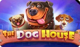 Casino Lottomatica giochi The Dog House